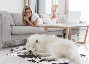 Как обустроить дом для себя и питомца