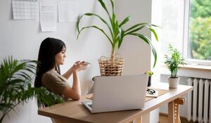 Комнатные растения, которые лучше остальных очищают воздух