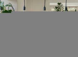 5 манипуляций, нужные зимой домашним растениям