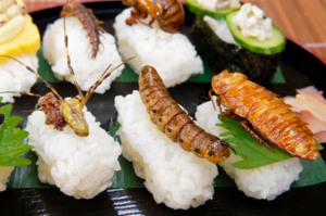 Производители еды из наскомых начали массово банкротиться