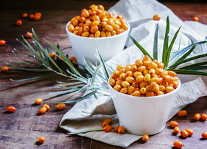 Облепиха: польза и вред для организма