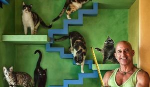 Парень превращает свой дом в дом мечты для 22 спасенных кошек.