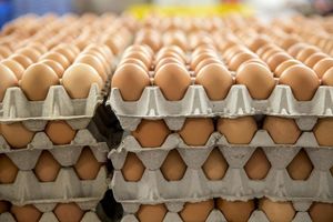 10 самых важных фактов о яйцах от Росконтроля
