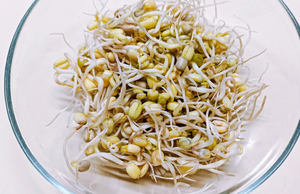 Как прорастить семена дома: простой способ добавить в рацион живую пользу