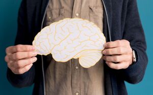 Какие привычки разрушают память и как её восстановить?