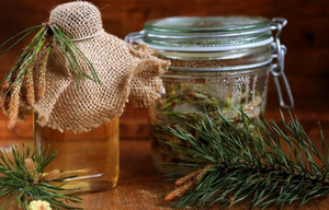 Хвойный настой для волос: натуральный спрей против выпадения и жирности кожи головы