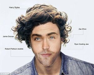 Лицо идеального мужчины, составленное из частей лиц знаменитых красавцев Голливуда