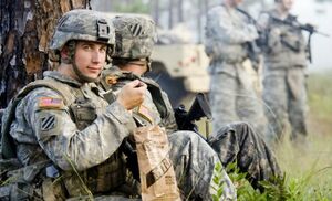 Что едят морские котики на задании