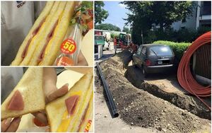 16 бедолаг, которым судьба подсунула самую настоящую свинью