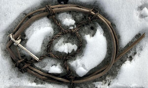 О чём рассказали археологам древние артефакты викингов, обнаруженные на тающем леднике