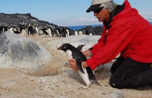 5 самых странных профессий мира, освоить которые согласится далеко не каждый