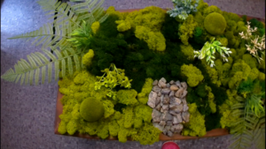 Биофильный декор