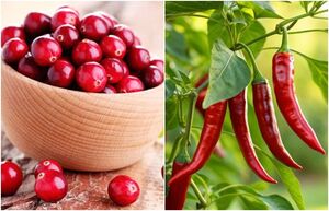 Клюква прыгает, а чили обманывает мозг: 5 знакомых продуктов с необычными свойствами