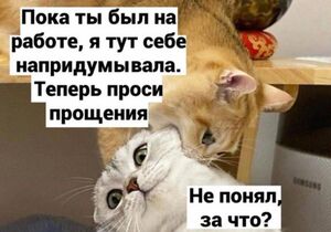 А вот за то...