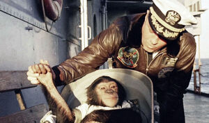 Космос покоряется отважным