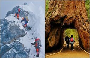 «Ступенька» на Эвересте, и ещё 6 чудес природы, которые мир потерял за последние полвека