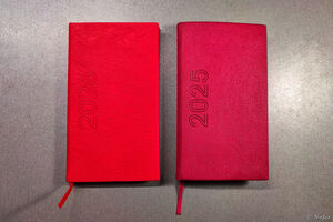 Ежедневник 2025, моя красная книжечка