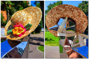 Свибловский голубь и его шапочки, образы 2025 года