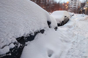 Зима выдалась снежная и морозная