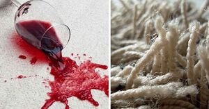 3 действенных способа чистки ковра в домашних условиях