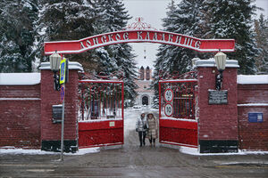 Москва военной поры на снимках Игоря Стомахина. 2025. «Донское кладбище»