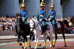 10-е годы XXI века на снимках Игоря Стомахина. 2015. «Первый парад кадетов Москвы»