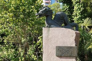 10-е годы XXI века на снимках Игоря Стомахина. 2015. «Японские сады»