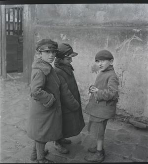 1935-1938. Исчезнувшие лица. Мукачево. Часть 3