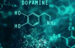 Дофаминовая ловушка: почему избыток удовольствий делает нас несчастнее