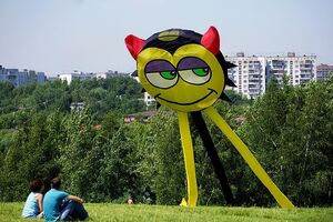 10-е годы XXI века на снимках Игоря Стомахина. 2014.«Царицыно.Московский фестиваль воздушных змеев»