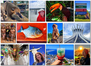 Вернулась из большого путешествия по Бразилии, краткий перечень впечатлений