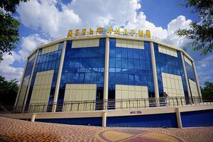 10-е годы XXI века на снимках Игоря Стомахина. 2014. «Евпаторийский дельфинарий»