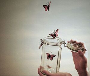 Повседневная мудрость: вещи, которые не стоит делать публично