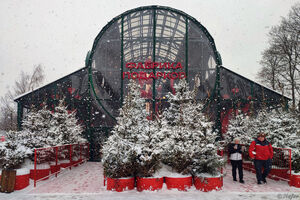 Китайский Новый год на Болотной площади в этот раз скромнее