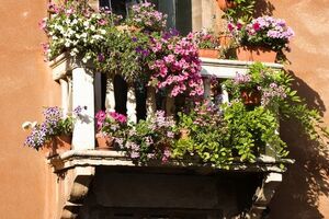 Сажаем цветы в горшок правильно