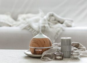 Как выбрать увлажнитель воздуха