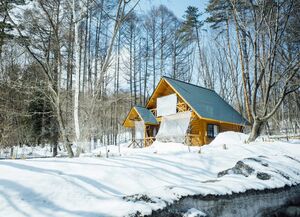 Что важно сделать на участке в начале весны