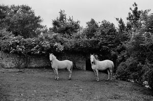 Франция на снимках Гарри Груйера. Часть 1