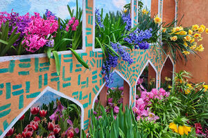 Репетиция весны в Аптекарском огороде, обратная сторона красоты