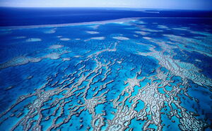 Большой Барьерный риф