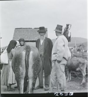 1935-1938. Исчезнувшие лица. Подкарпатская Русь. Часть 2