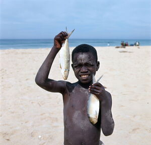 1950—1970-е. Сенегал на снимках Мишеля Уэта. Часть 6