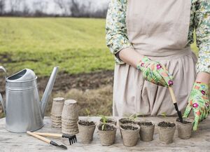 5 неприхотливых культур для ленивых дачников