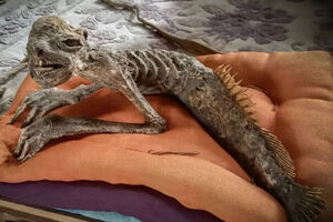 Каппа, эта страшная мумия