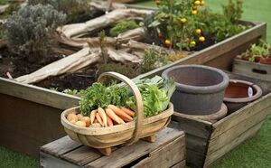 Что сделать в саду, чтобы он выглядел дорого. Простые вещи