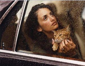 Вебер — один из авторитетнейших фотографов мира