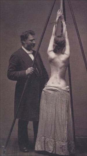 «БДСМ? Не думаю»