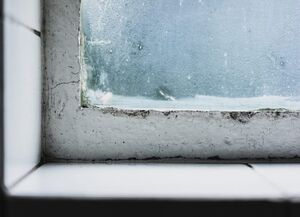 Как победить сырость в квартире