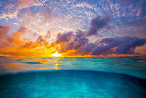 Большой Барьерный риф. Часть 3