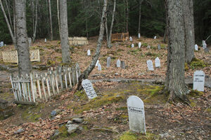 Зомби желтого дьявола